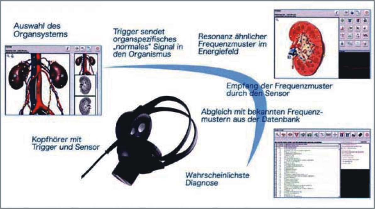 Display-schneider-1_4.jpg
